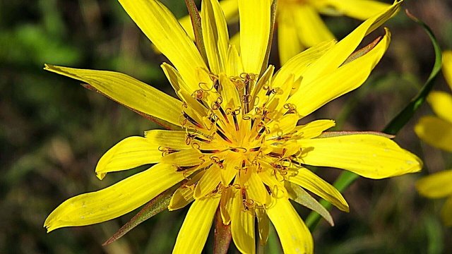 Csodálatos természet 04